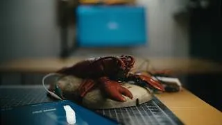 Thumbnail: Operation OpenClaw Teaser Trailer