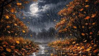 Thumbnail: DS Autumn Wind & Rain • 6 Hours | Dark Storm Ambience for Focus, Sleep, and Relaxation