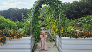 Thumbnail: We Turned an Ugly Old Shop into My Dream Garden! | Backyard Transformation 