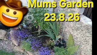 Thumbnail: Look around  mums Garden 🫡🤠 23.8.26