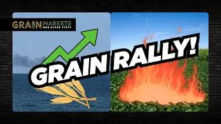 Thumbnail: Wheat Prices SURGE on Black Sea Disruptions - Corn/Soybeans Hit Fresh Highs