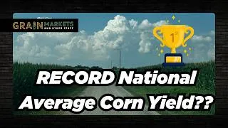Thumbnail: Early Models Suggest RECORD US National Average Corn Yield