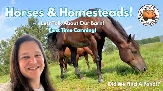Thumbnail: Trying New Things On The Homestead
