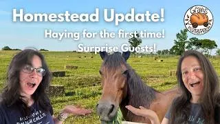 Thumbnail: What's Going On At Our Homestead?