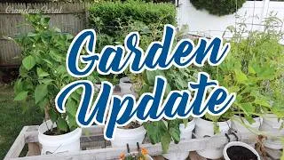 Thumbnail: Grandpa's Garden Update - End Of Summer 2026