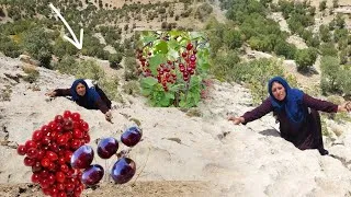 Thumbnail: Traditional and local bread recipe by grandmother in the mountains.