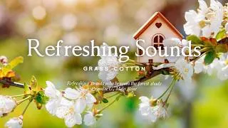 Thumbnail: 숲속 그늘 아래, 들려오는 청량한 소리 l GRASS COTTON+