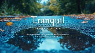 Thumbnail: 빗물이 고인 길 위에 비친 잔잔한 풍경 l GRASS COTTON+