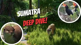 Thumbnail: Sumatra could have the MOST Returning Species!