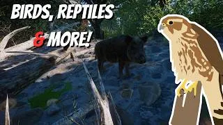 Thumbnail: Small Creature Terrariums That Look INSANE