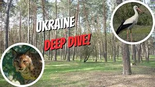 Thumbnail: We Could Get How Many Species From Europe?