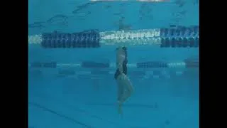 Thumbnail: Flutter Kick With Dakota