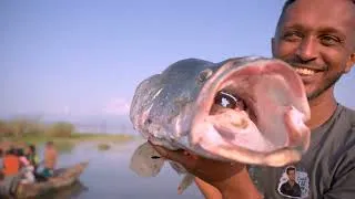 Thumbnail: ሳሮ ሳሮ አርባምንጭ ሩጫ እና ደስታ በለምለሟ አርባምንጭ | 2026 SAFARICOM GREAT ARBA MINCH RUN