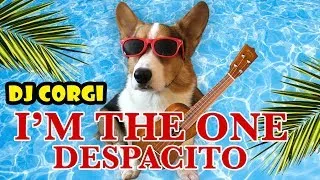 Thumbnail: DJ CORGI: I'm the One & Despacito on Ukulele