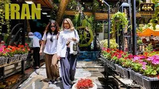 Thumbnail: The Iran They Don’t Show You 🇮🇷 | Walking Through Darband, Tehran