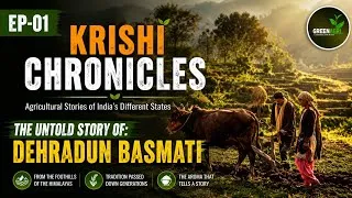 Thumbnail: The Rise and Fall of Dehradun Basmati | Krishi Chronicles Ep. 01 #greenagri 