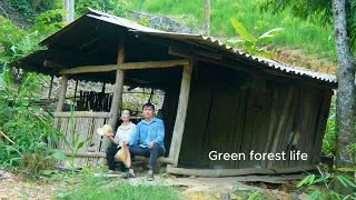 Thumbnail: Robert and Mai revisit the old farm. Green forest life 