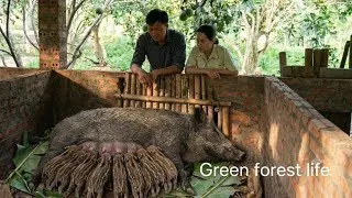 Thumbnail: Robert and Mai were delighted to welcome a litter of newborn wild boar piglets. Green forest life 