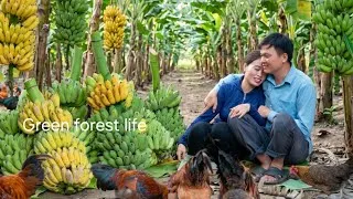 Thumbnail: The bananas were ripe, and so was their love for each other. Robert | Green forest life 