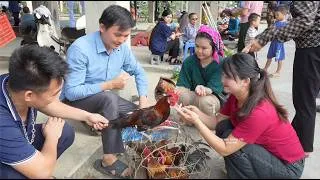 Thumbnail: Robert's mother was seriously ill. He sold the livestock to spend time with her. Green forest life