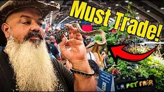 Thumbnail: I Bought a Snake I Couldn't Keep... So I Traded It at the Reptile Expo