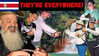 Thumbnail: We Found THIS Many Snakes in the Costa Rican Forests