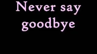 Thumbnail: Bon Jovi - Never Say Goodbye (Lyrics)