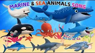 Thumbnail: Sea Animal Sounds Song🌊 Learn Ocean Animals, Shark, Dolphin, Whale, Octopus🎵 Fun Kids Nursery Rhymes