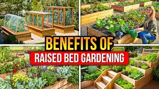 Thumbnail: Raised Bed Gardening: Grow Better Veggies Easier!