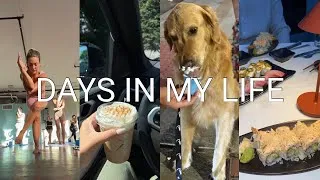 Thumbnail: VLOG: fav Boston dinner, exciting secret project, & getting back into yoga!