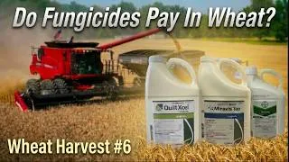 Thumbnail: The Results Are In:  Do Fungicides Pay In Wheat???  Wheat Harvest #6