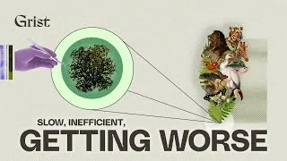 Thumbnail: Photosynthesis has a problem