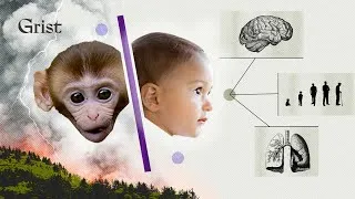 Thumbnail: What an accidental study revealed about our health