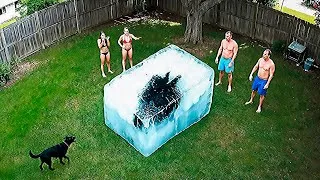 Thumbnail: Like a Boss Compilation! Amazing People That Are on Another Gravity №59
