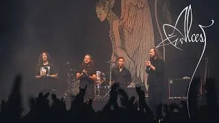 Thumbnail: Alcest - Beyond The Gates Festival 2026