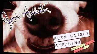 Thumbnail: Jane's Addiction - Been Caught Stealing (Groovefunkel Søcietãl Collapse Remix)