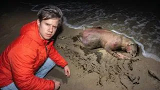 Thumbnail: The Lab Experiment Creature That Terrorized This Town...