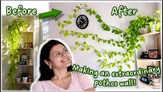 Thumbnail: Make an ORDINARY pothos look EXTRAORDINARY | Making my pothos wall + its care tips. 🌿