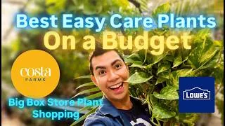 Thumbnail: Big Box Store Plant Shopping Lowes Restocks Costa Farms and Budget Hacks Early Fall Seasonal Plants