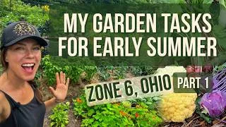 Thumbnail: Vegetable Garden Tasks for Early Summer: Zone 6