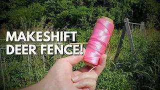 Thumbnail: Will This Temporary Fence Stop the Deer? (Plus Garden Updates)
