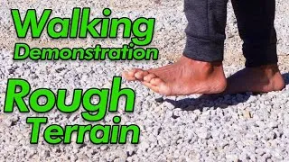Thumbnail: How to Walk Rough Terrain