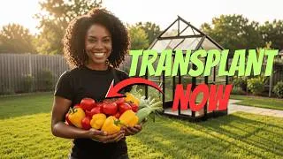 Thumbnail: Beginner Grow Bag Gardening: Transplanting Tomatoes, Peppers, and Corn
