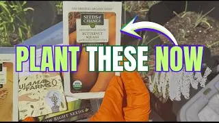 Thumbnail: 10 Crops You MUST Plant in May ASAP | Beginner Gardeners | Container Gardening