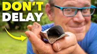Thumbnail: The 7 Seeds You MUST Start in July