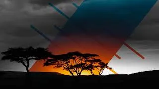 Thumbnail: organic house mix