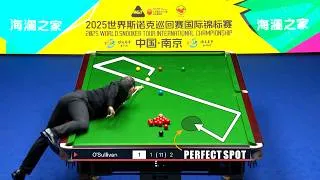Thumbnail: Maestro Ronnie | Best Shots 2025/2026