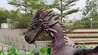 Thumbnail: Dinosaurs vs Dragons Adventure Park😱🦖🤩#dinosaur#dragons#shortvideo#viral#trending#video#song#live