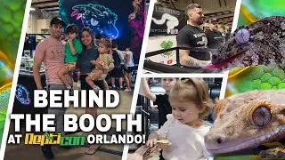 Thumbnail: Repticon Reptile Shows: Behind the Booth Secrets and Vendor Tips
