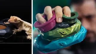 Thumbnail: This was made for Crested Gecko Breeders